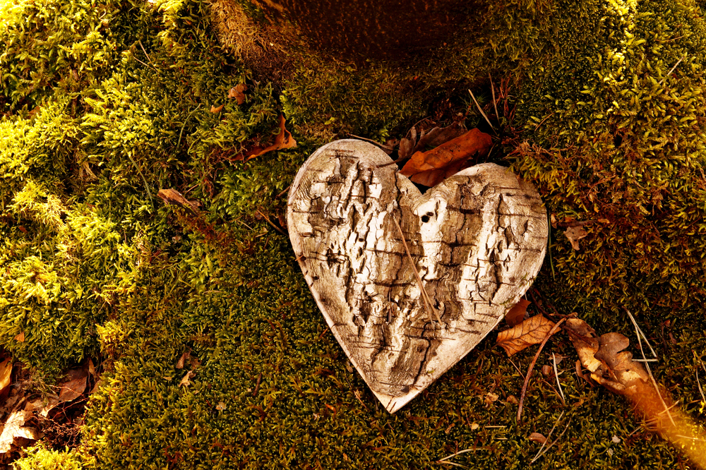 Wooden heart-shaped funeral marker on moss in a forest, symbolizing natural burial as an alternative to traditional funeral arrangements.