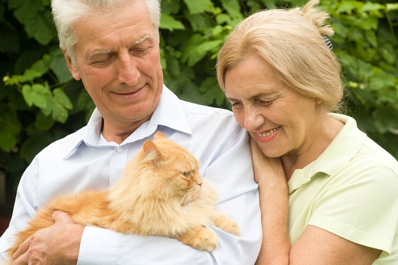 An elderly couple sitting on a couch with their cat, symbolizing the importance of including pets in estate planning through pet trusts.