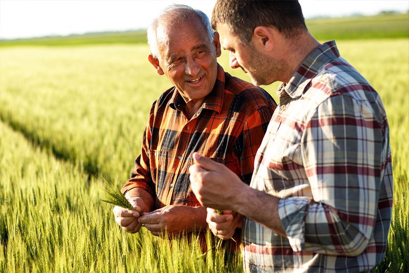A farmer standing in a field, looking across his farmland under a bright sky, representing the necessity of estate planning for farmers and ranchers to maintain their family legacy.