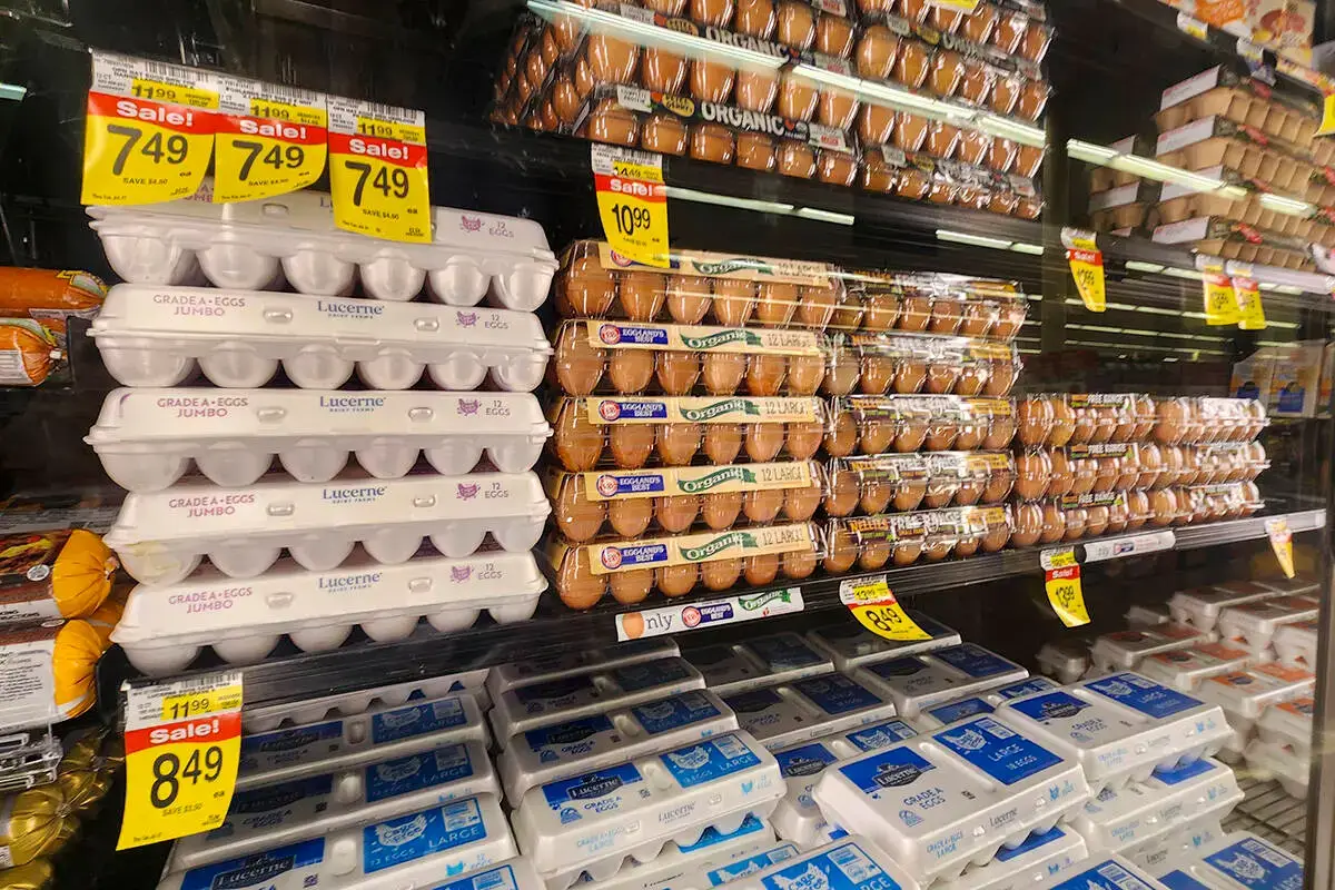 Shelves of eggs in a grocery store with sale price tags