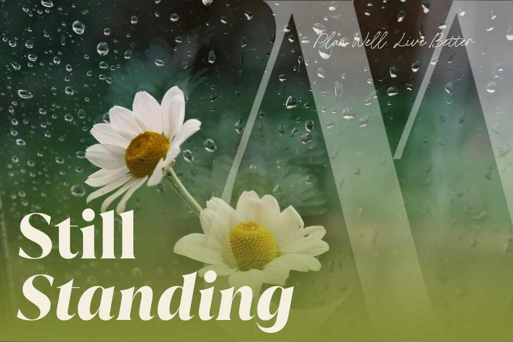 White daisies in the rain — navigating a will contest in New Jersey after a parent's death