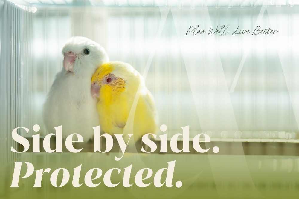 Two small birds cuddling side by side with the words "Side by side. Protected." — what happens to bank accounts when a spouse dies in New Jersey