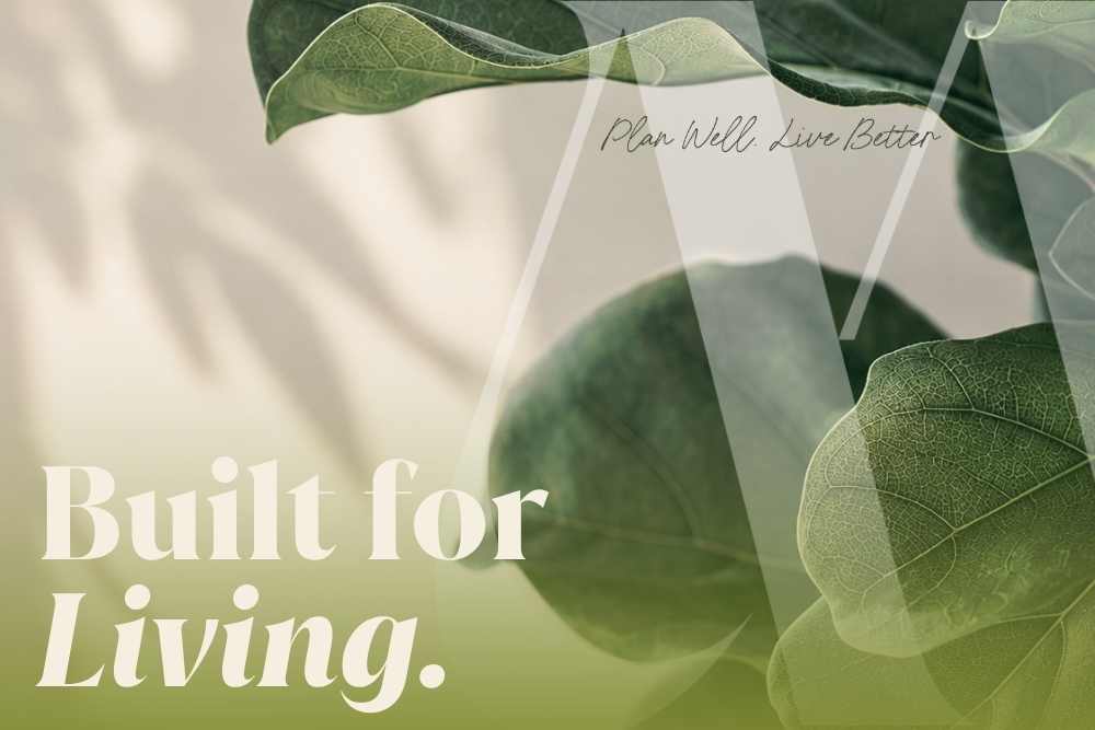 Close-up of lush green leaves representing the idea that estate planning documents are built for living, not just for what happens at death.