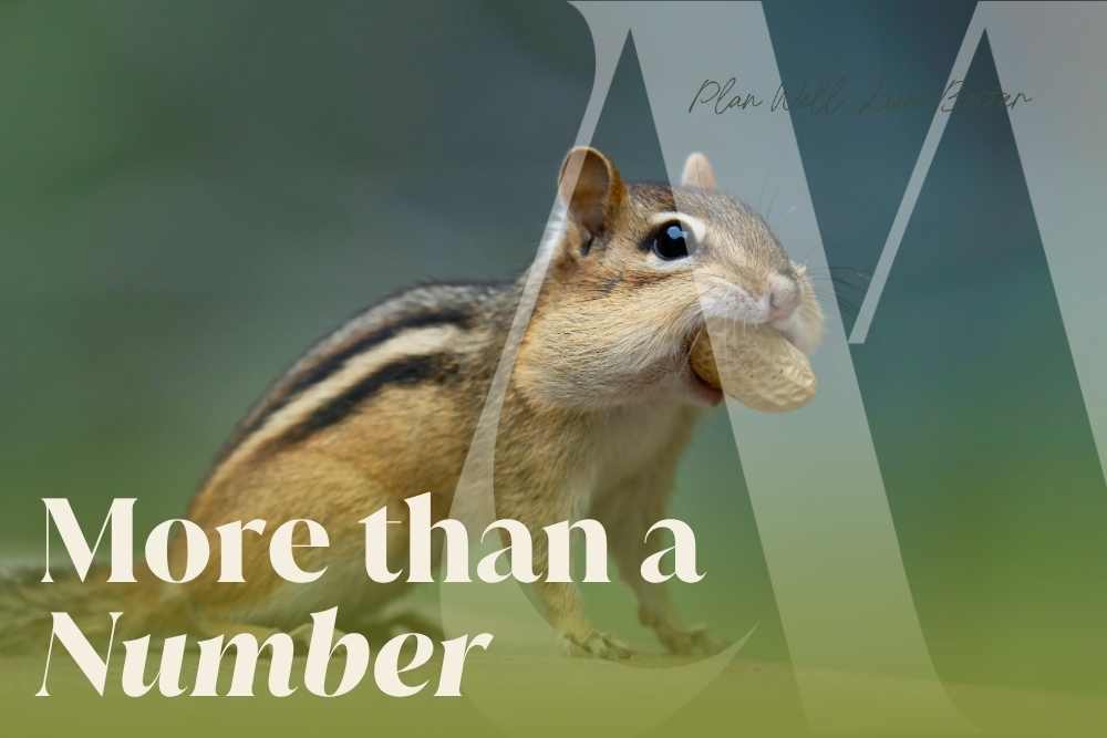 : A chipmunk with cheeks full of acorns and the words "More than a Number" — what happens to an IRA when you die and how beneficiary designations determine who receives it