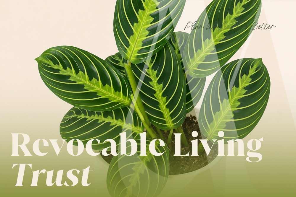 Close-up of a lush green prayer plant with the words "Revocable Living Trust" — what a revocable living trust is and whether New Jersey families need one